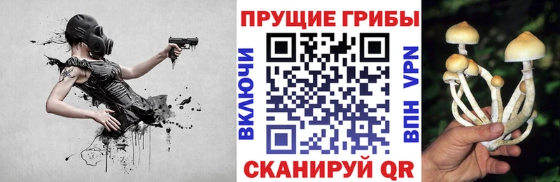 Псилоцибиновые грибы ЛСД  наркота  гидра сайт  Железноводск 