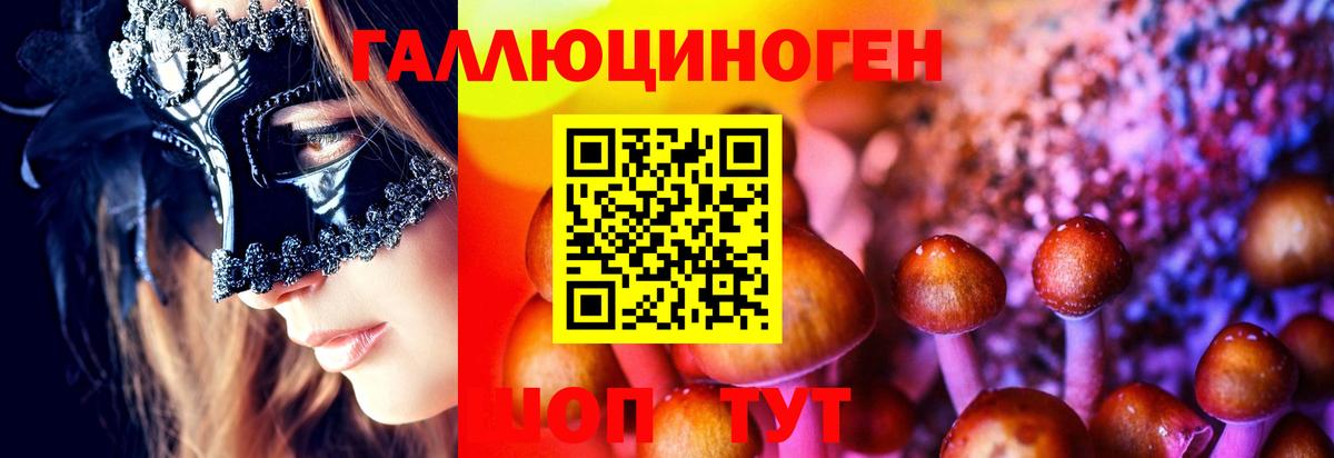 Железноводск  Галлюциногенные грибы прущие грибы  Галлюциногенные грибы MAGIC MUSHROOMS  Вход с VPN 
