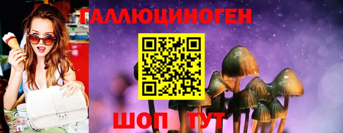 Галлюциногенные грибы Magic Shrooms Железноводск
