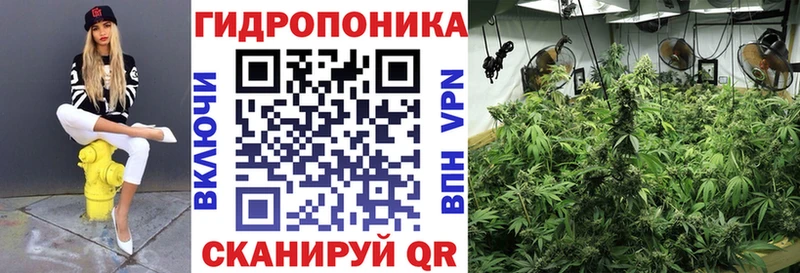 Канабис конопля наркота Железноводск